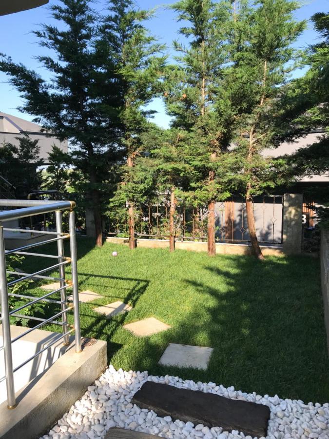 Large Private Villa Arnavutkoy エクステリア 写真